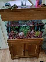 Aqua Oak Aquarium and Cabinet - Image 2