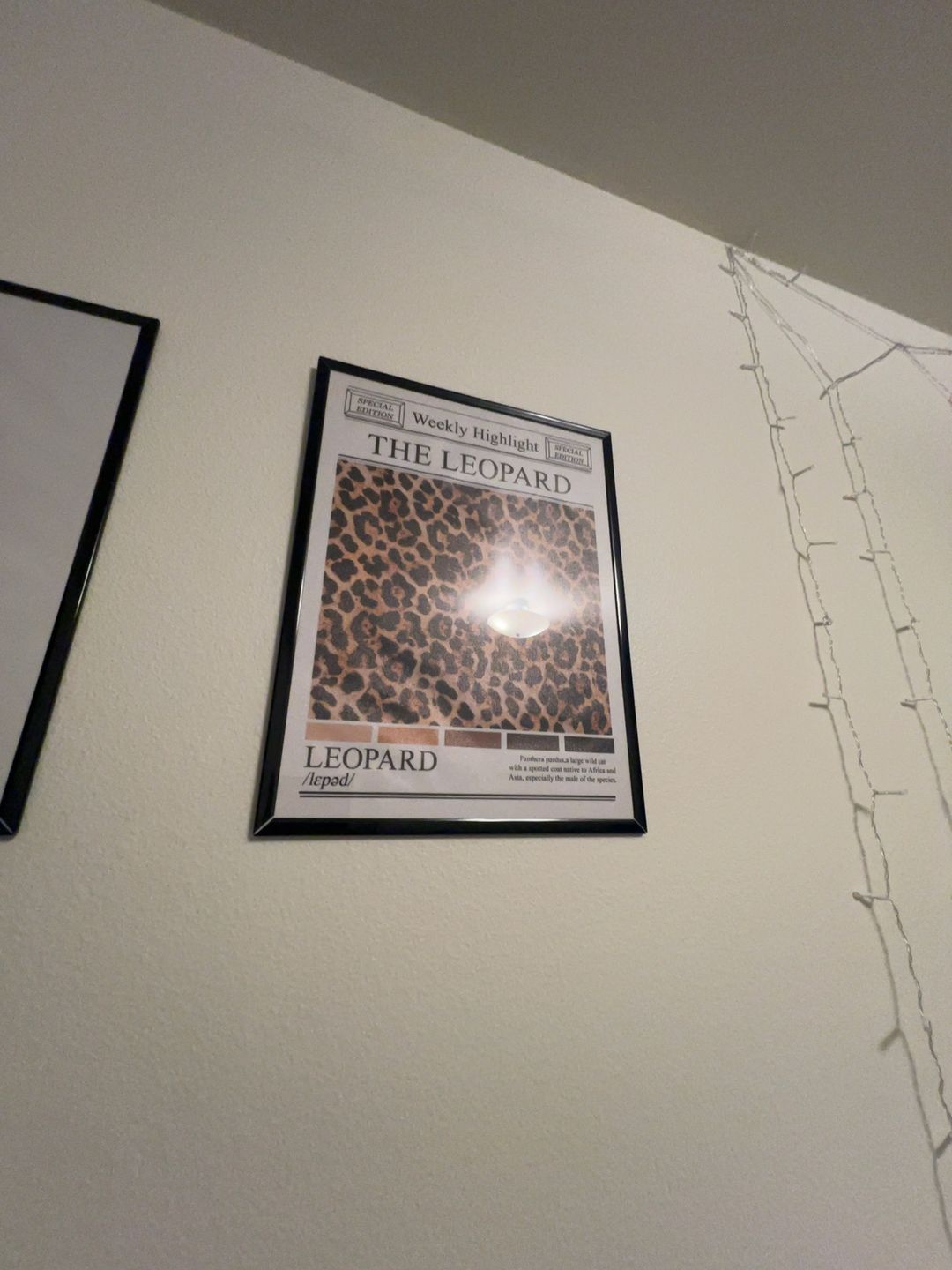 Leopard Wall Art Print Set – Aesthetic Leopard Pattern
