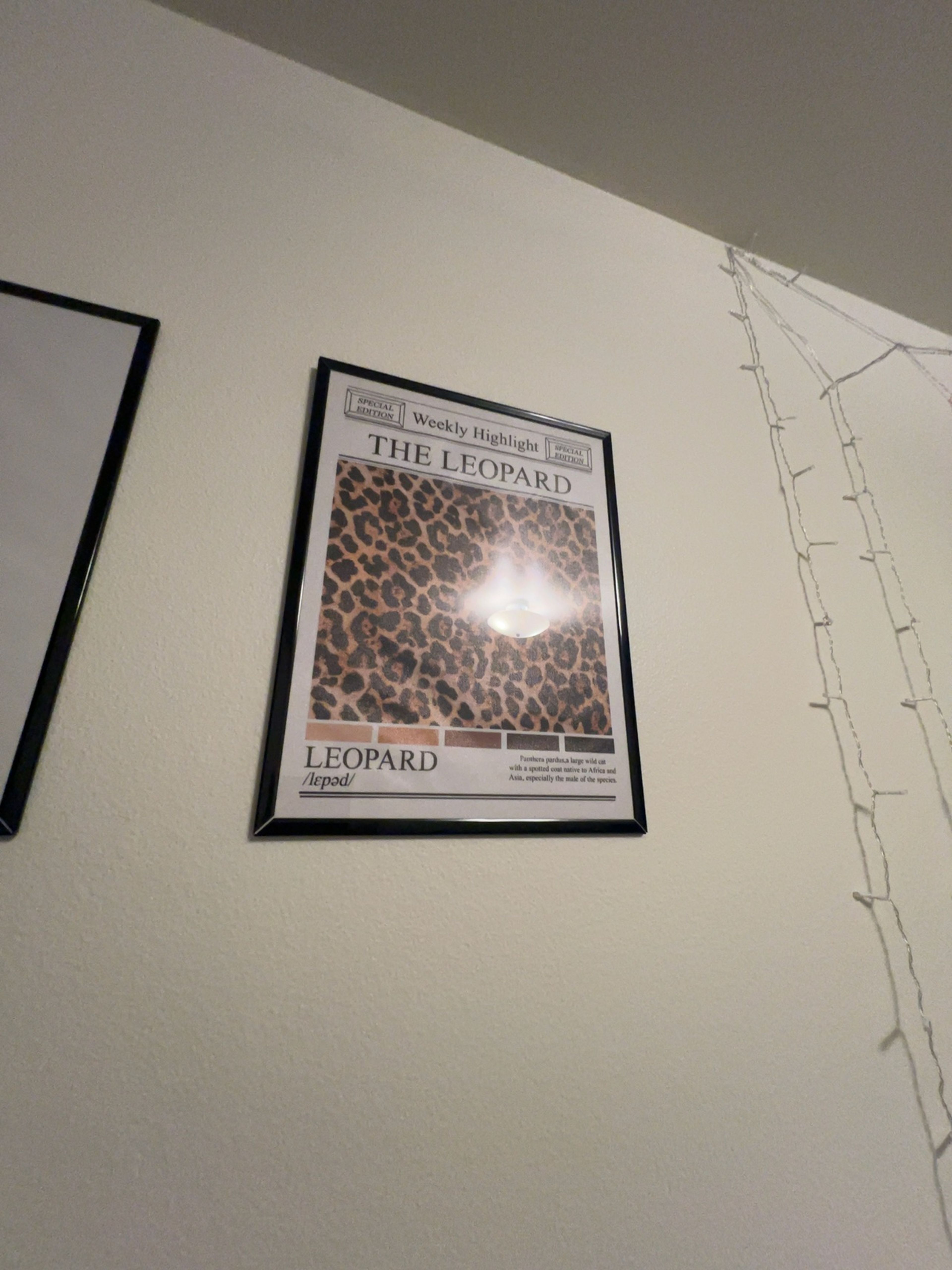 Leopard Wall Art Print Set – Aesthetic Leopard Pattern