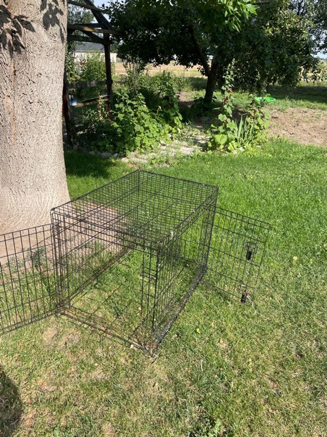 Wire Dog Crate