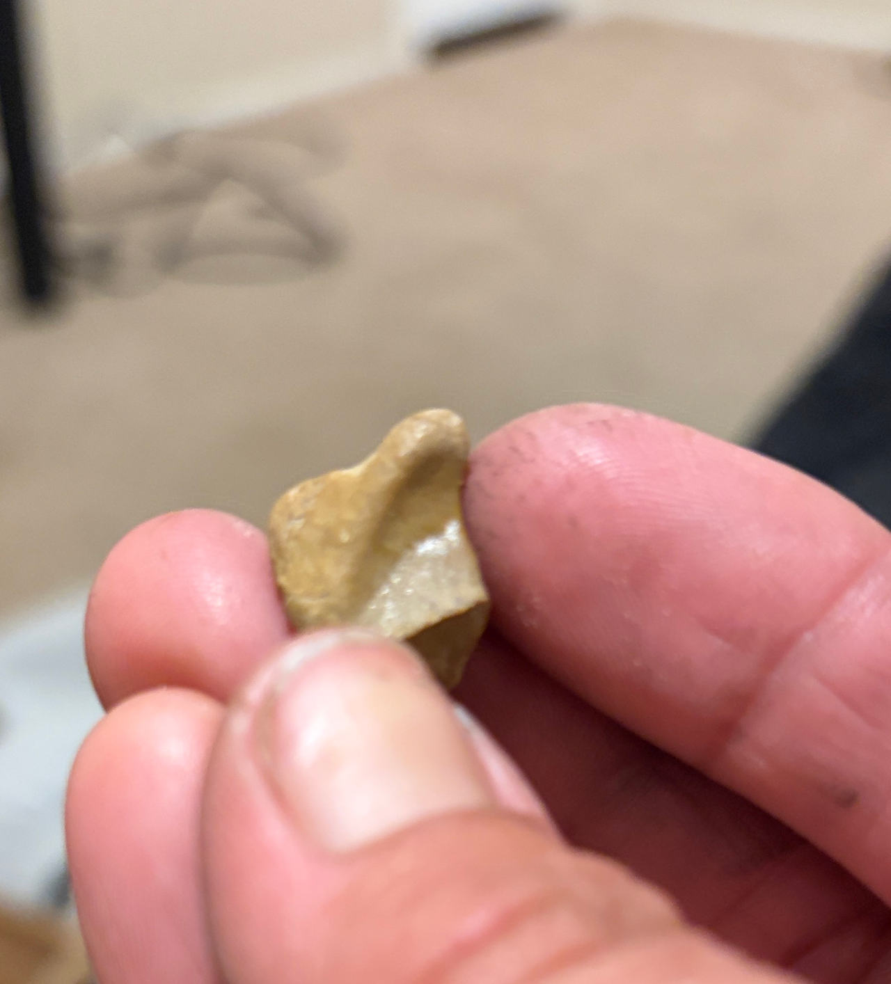 Native American Chert Flake Tool