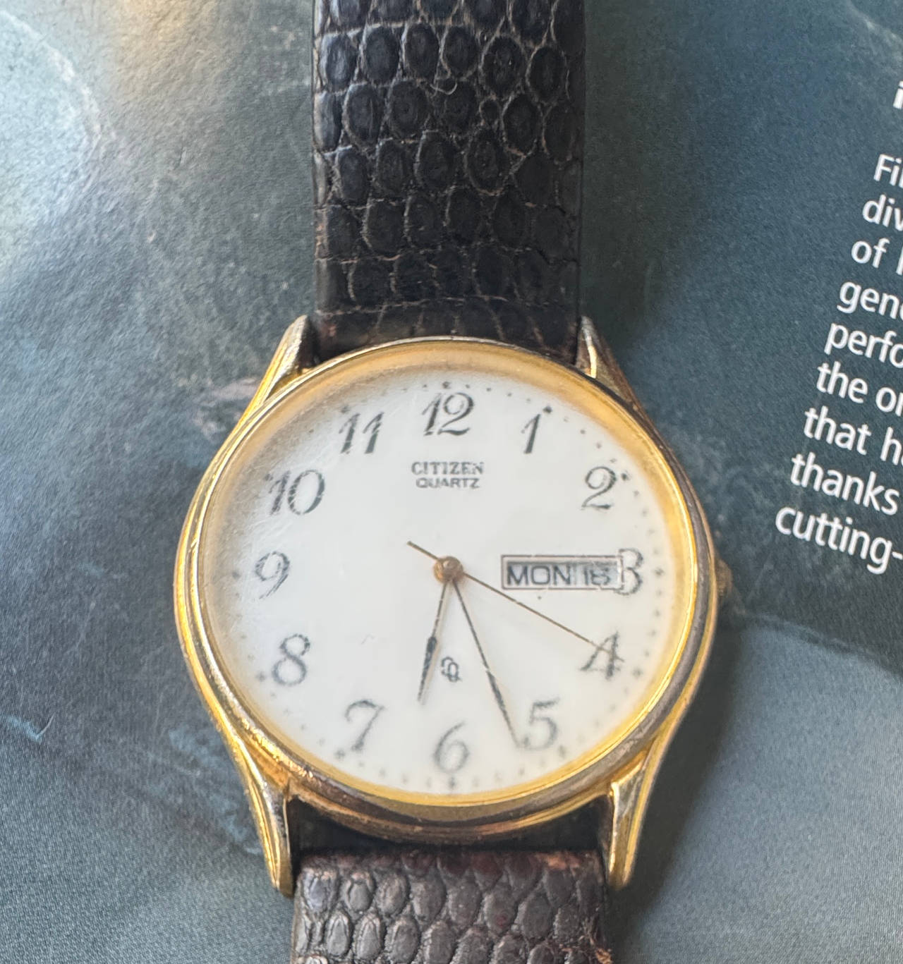Citizen Quartz Day-Date Gold-Tone Watch