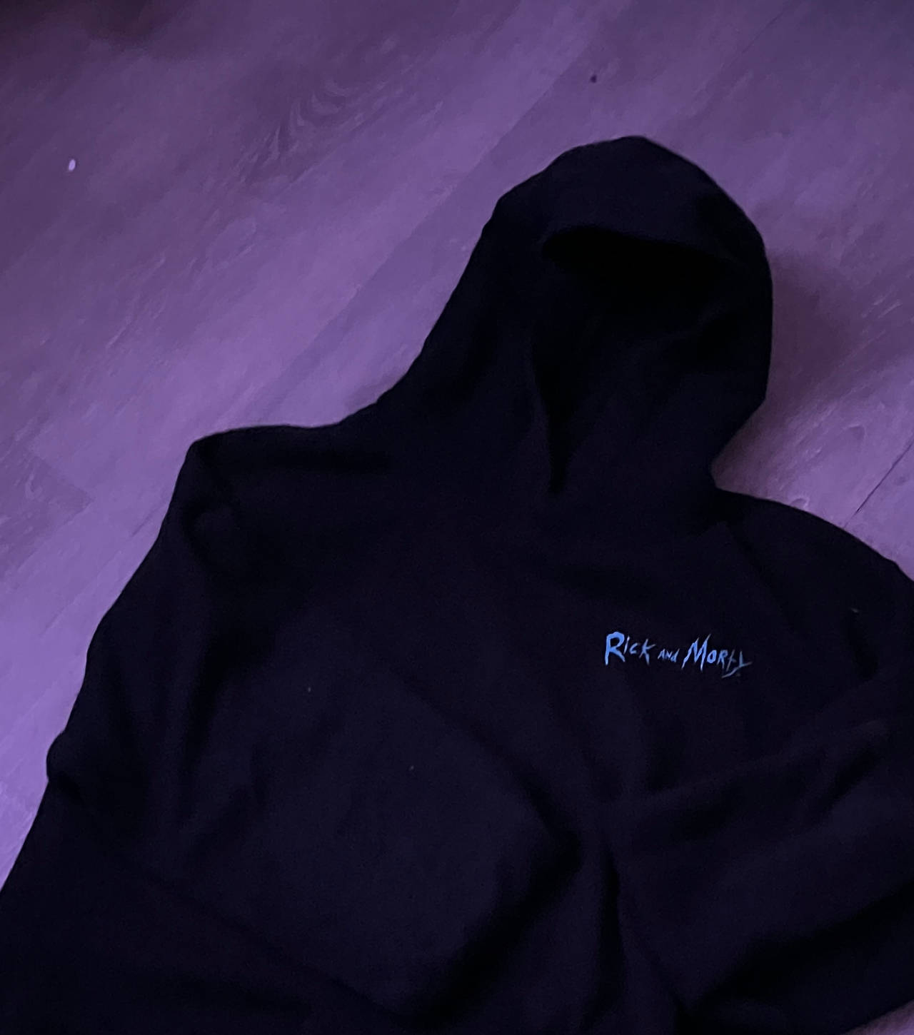 Rick and Morty Logo Hoodie