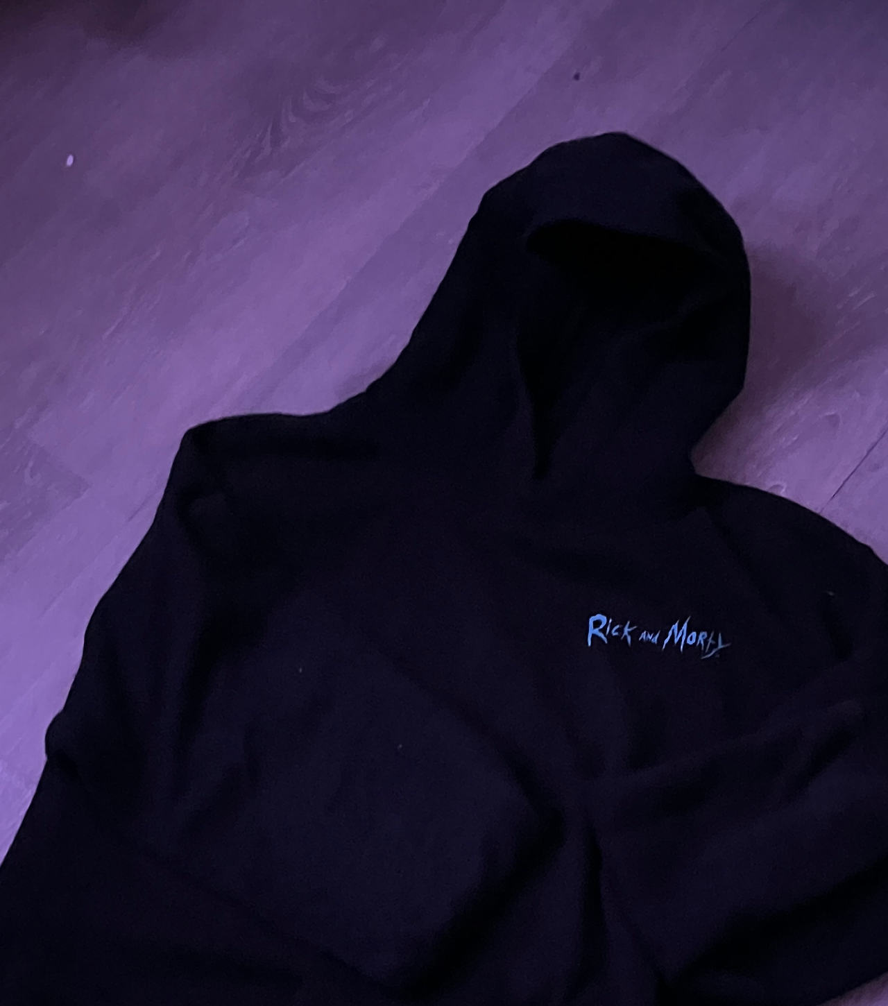 Rick and Morty Logo Hoodie