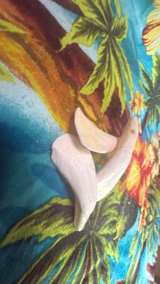 Carved Bone - Image 7