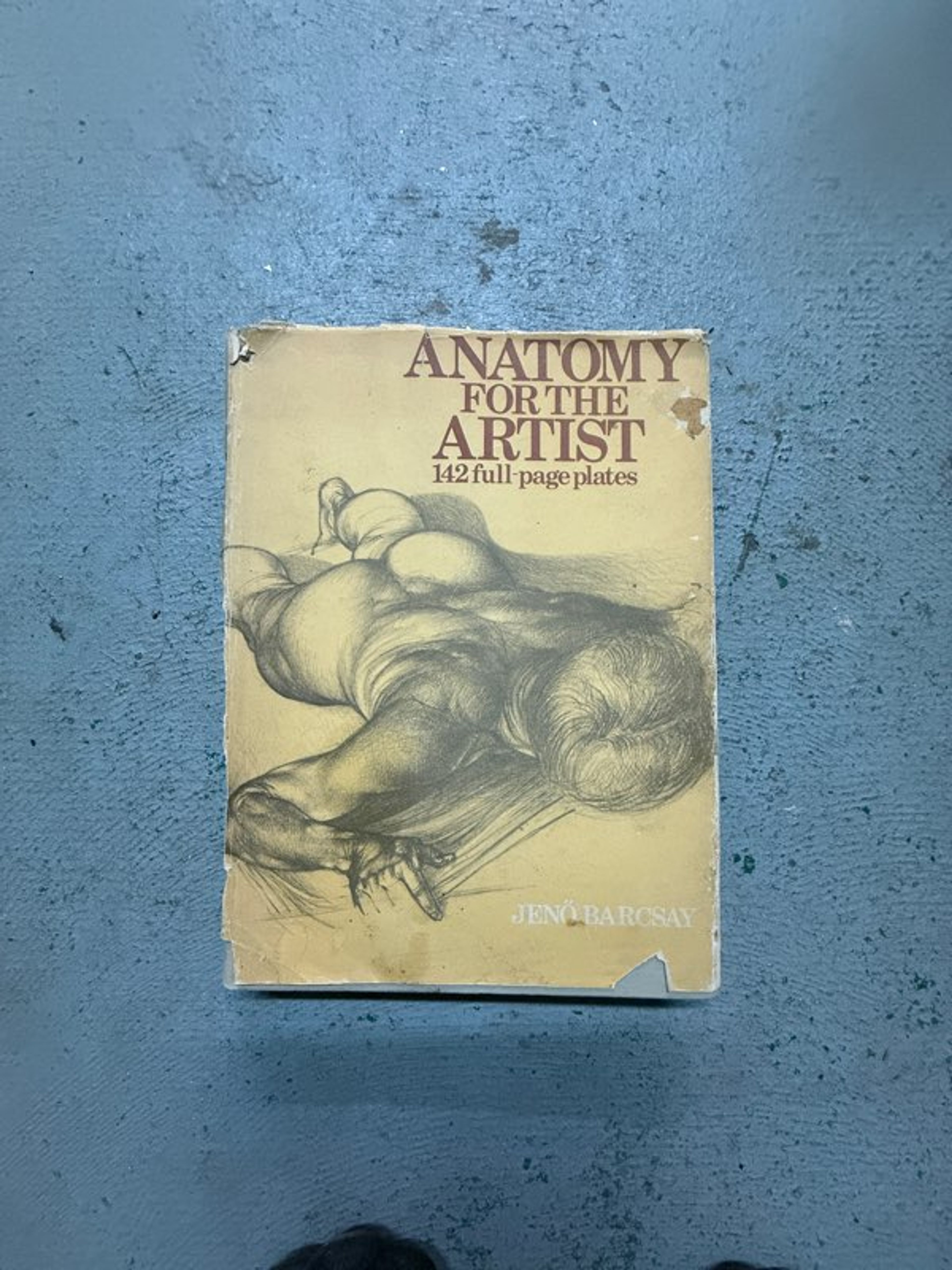 Anatomy for the Artist