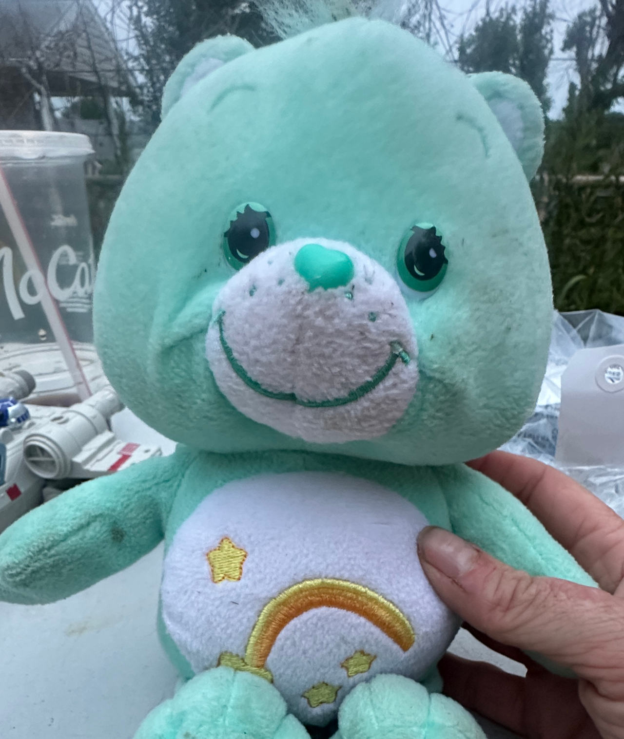 Care Bears Wish Bear Plush