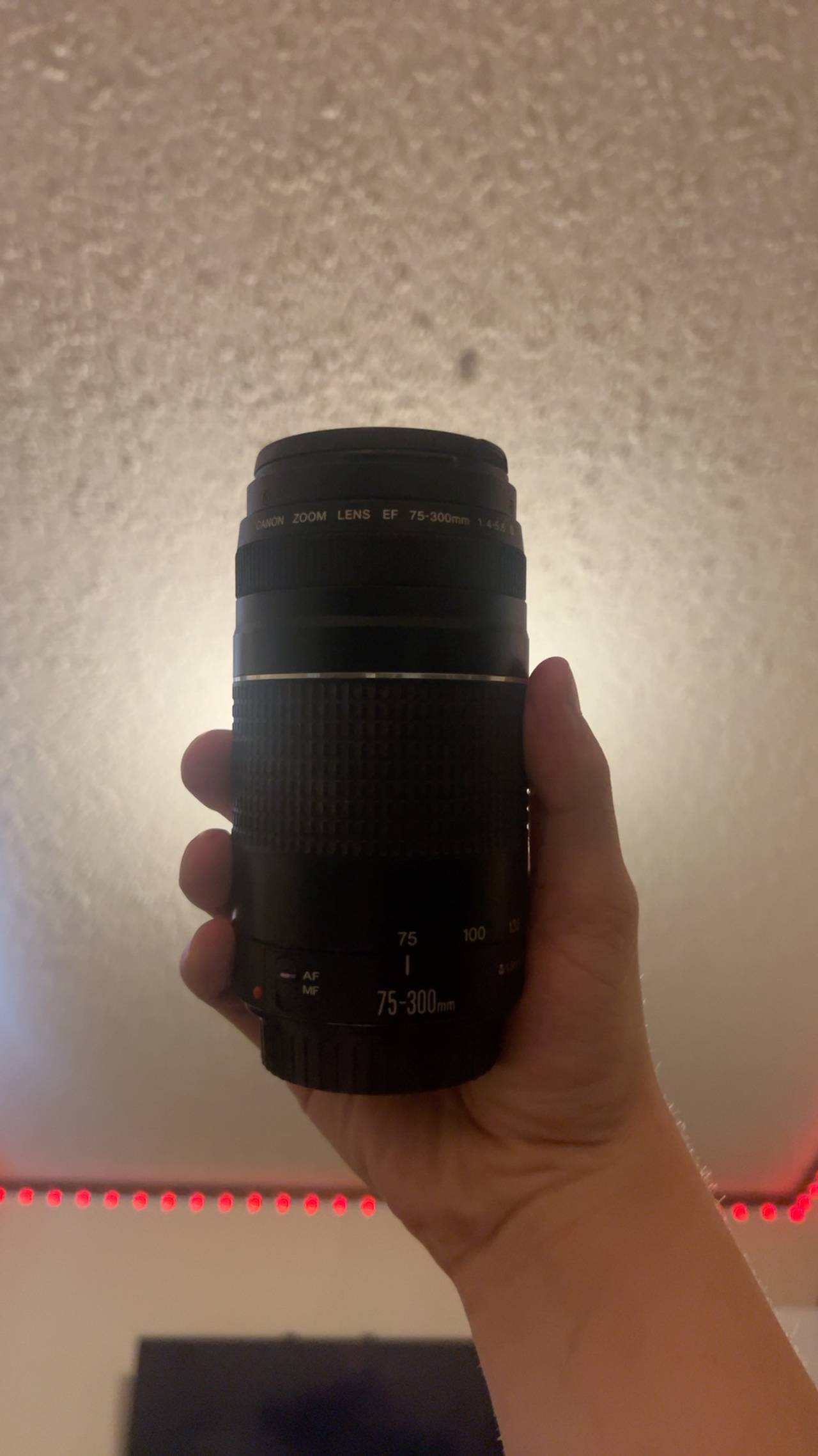 Canon EF 75-300mm f/4-5.6 III Lens