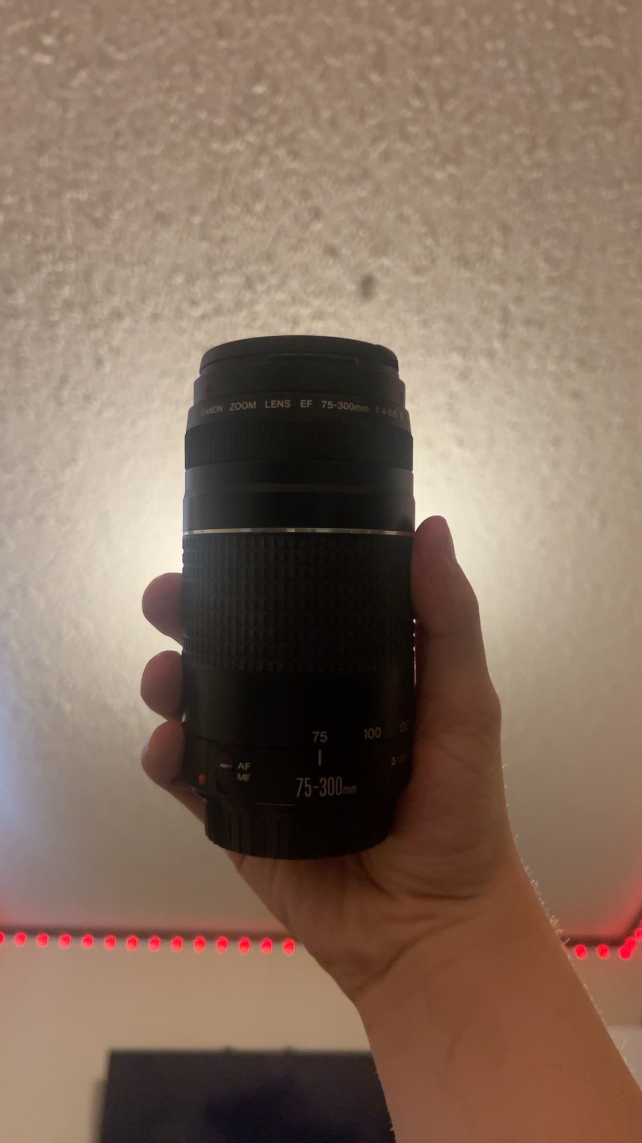 Canon EF 75-300mm f/4-5.6 III Lens