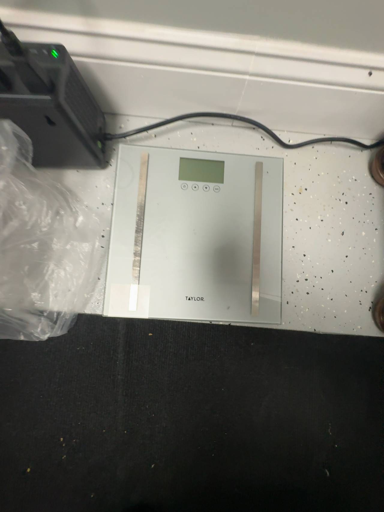 Taylor Digital Body Composition Scale Silver