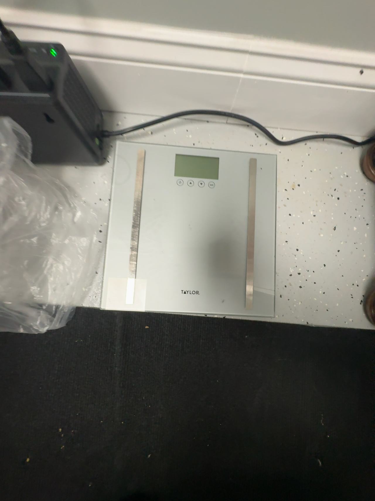 Taylor Digital Body Composition Scale Silver
