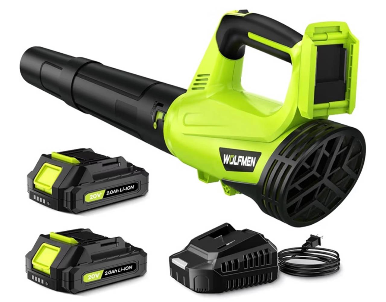 Leaf Blower, Electric Cordless Leaf Blower with 2 Batteries and Charger, 2 Speed