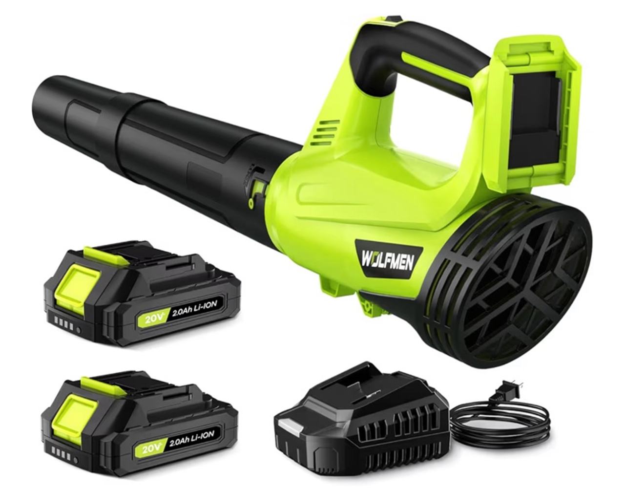 Leaf Blower, Electric Cordless Leaf Blower with 2 Batteries and Charger, 2 Speed