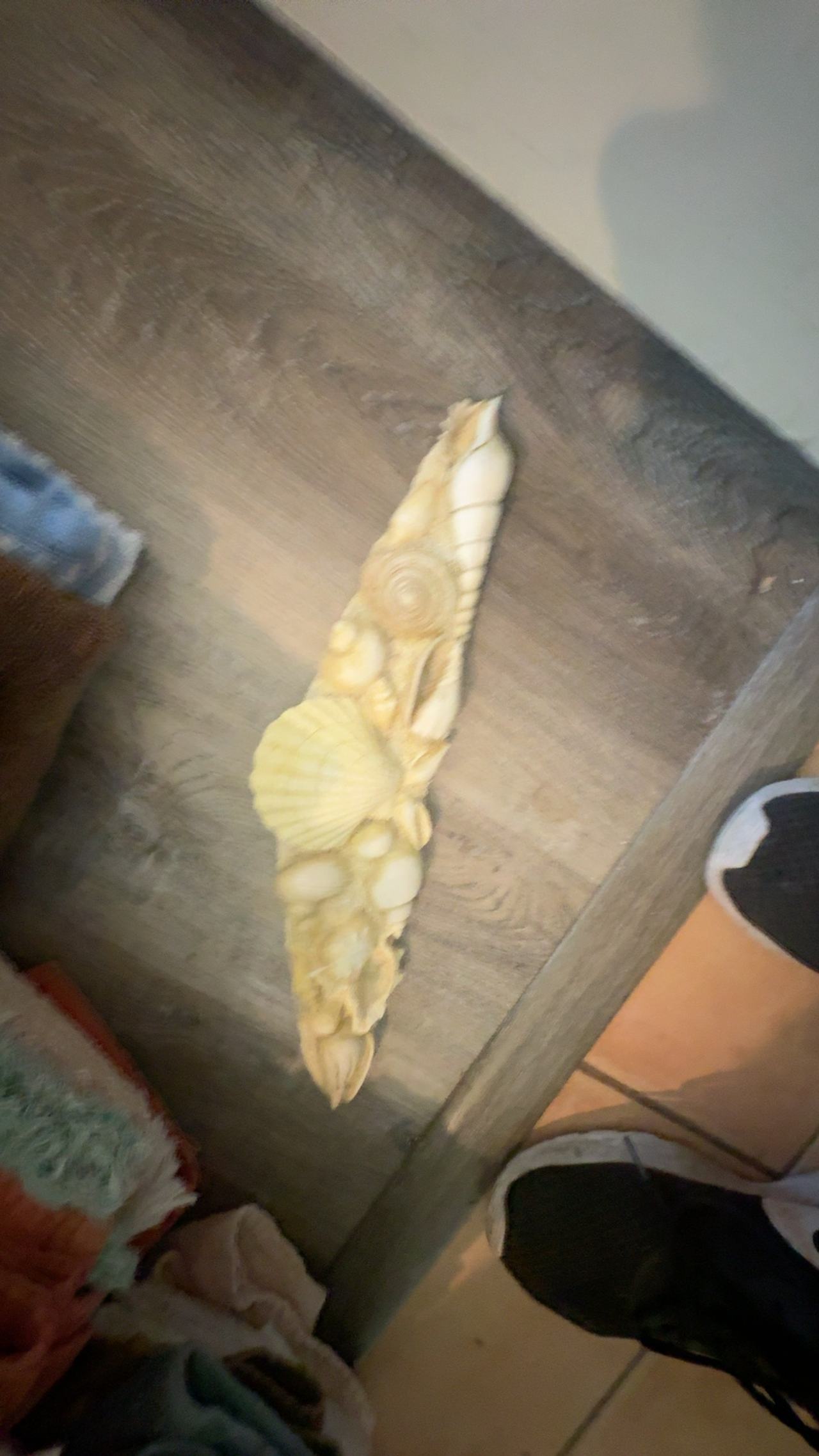 Vintage Shell Wall Mirror