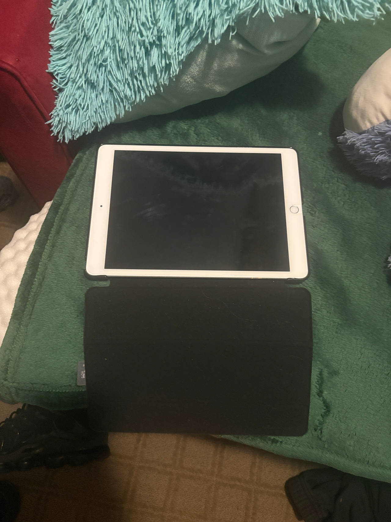 Apple iPad (9.7-inch)