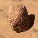 Petrified Wood Raw Specimen - Image 4