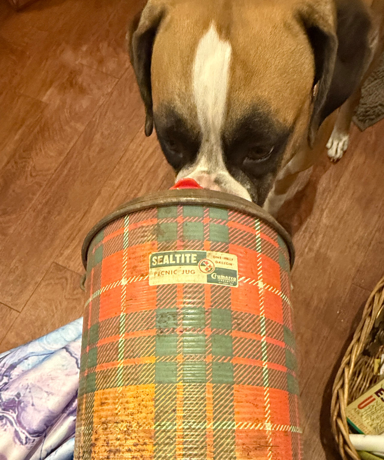 Sealtite Plaid Picnic Jug
