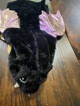 Top Paw Dog Bat Costume Medium - Image 1