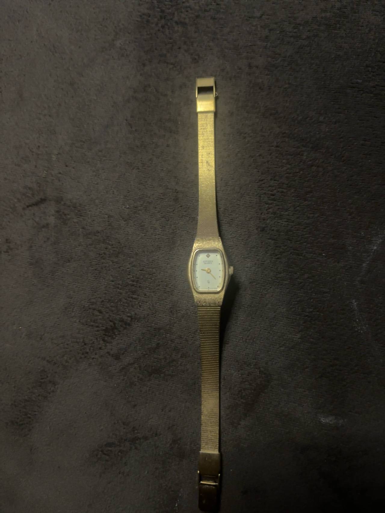 Citizen Seiko Women's Gold Tone Watch