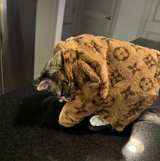 Monogram Faux Fur Pet Jacket (Replica) - Image 2