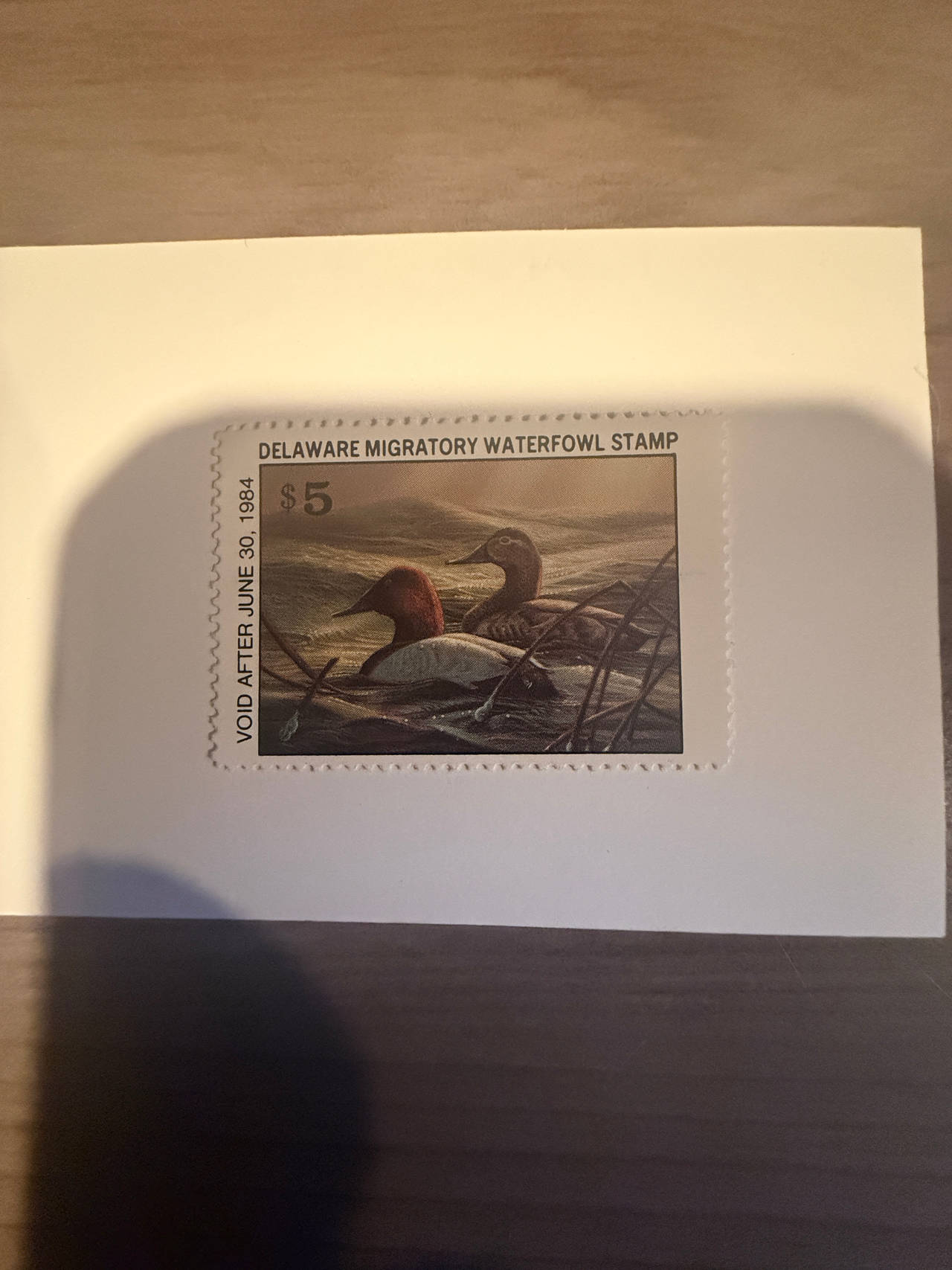 1983 Delaware Duck Stamp ($5 Canvasbacks) Mint single never hinged