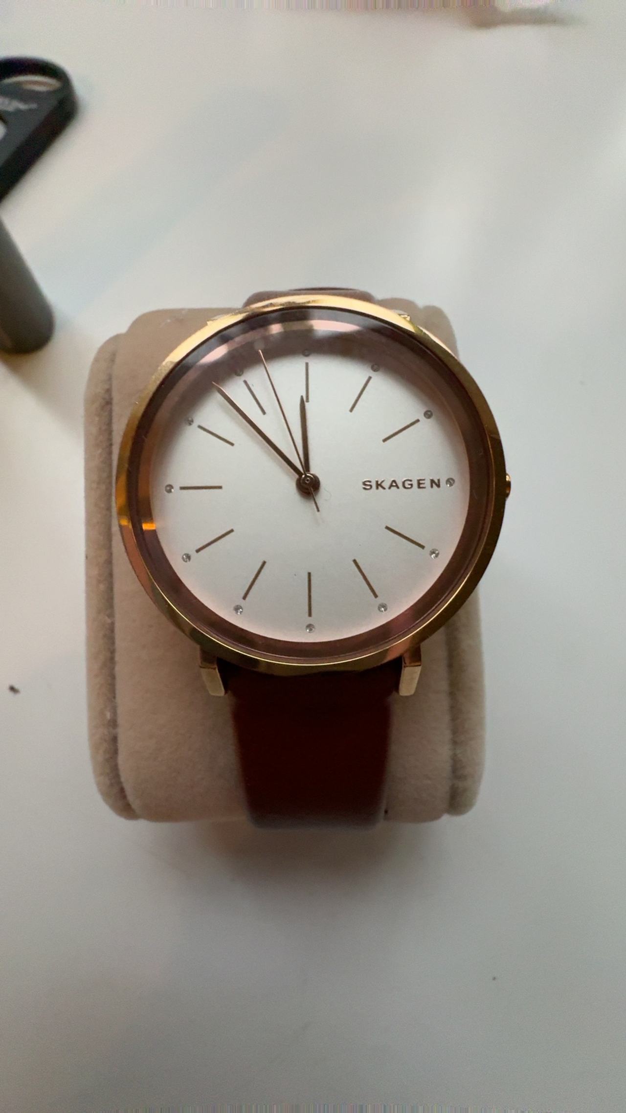 Skagen Hald SKW2488 Brown Leather Women's Watch