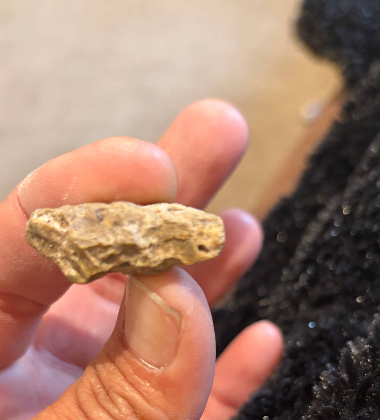 Native American Arrowhead Fragment