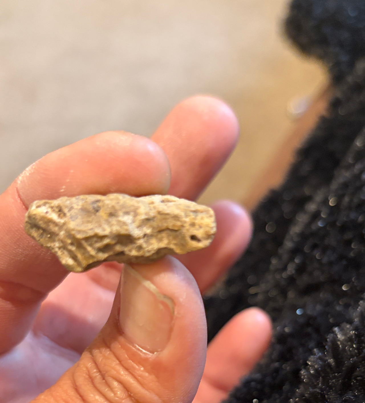 Native American Arrowhead Fragment