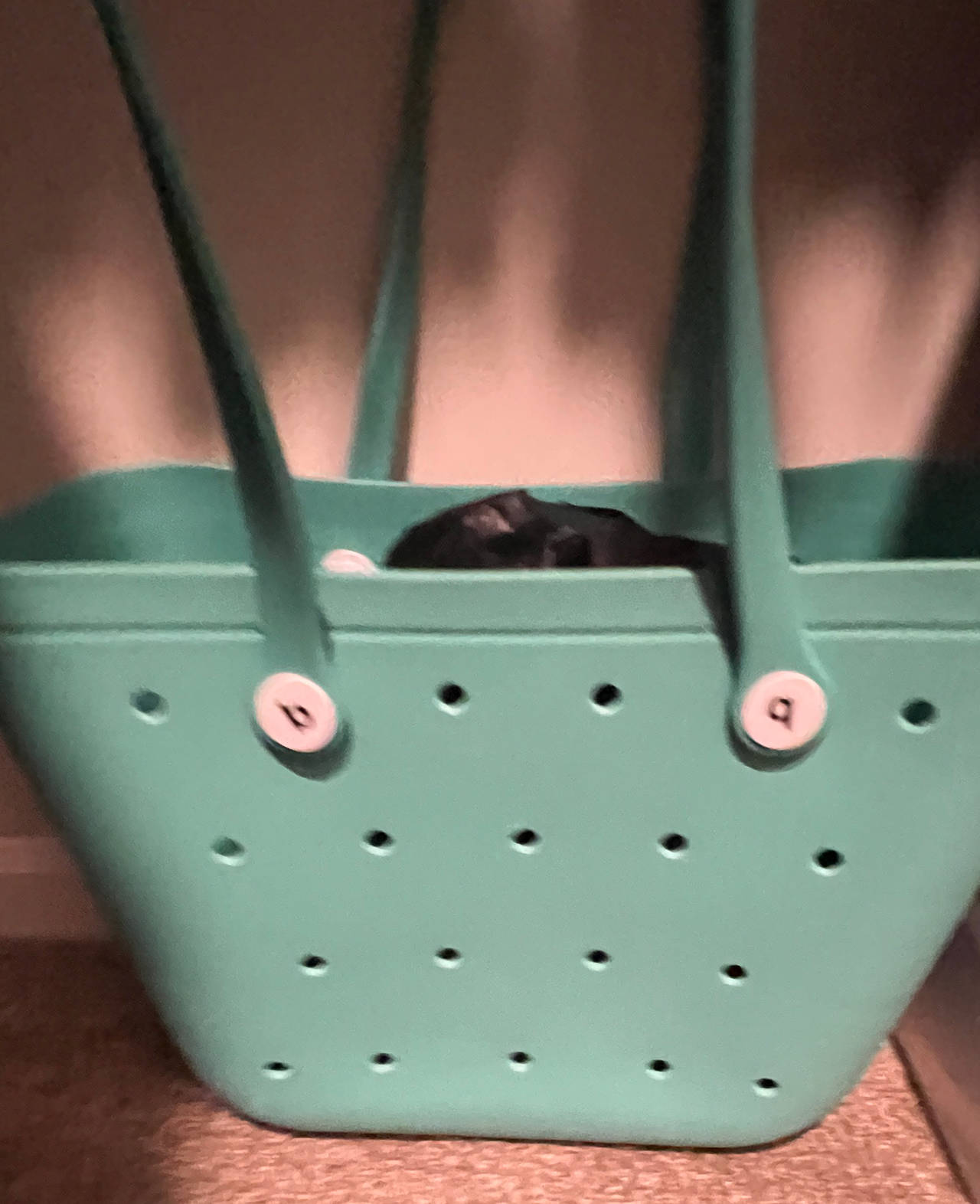Bogg Bag Original Large Tote