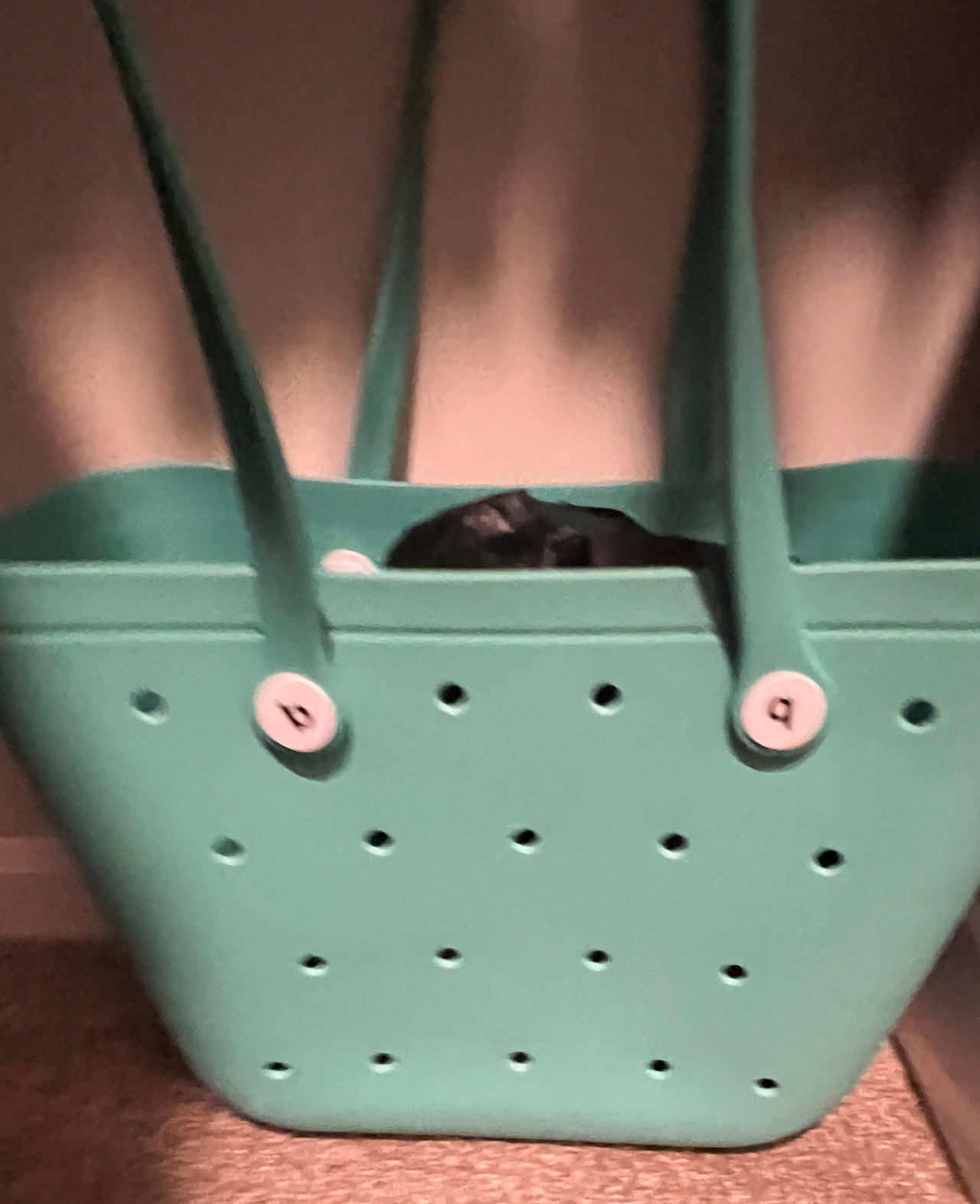 Bogg Bag Original Large Tote