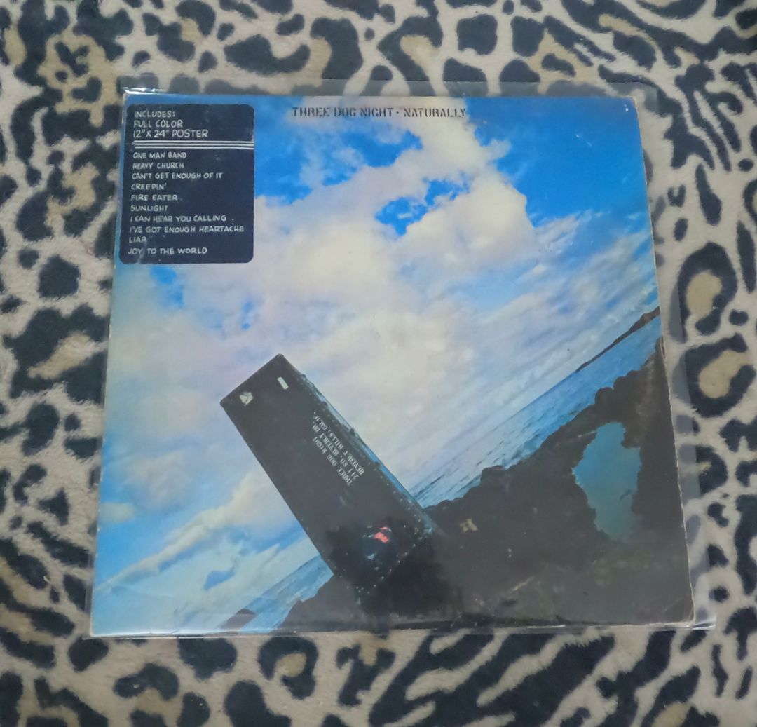 Through the Night Naturally Vinyl Record 