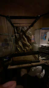 Exo Terra Glass Terrarium 12x12x18 - Image 2