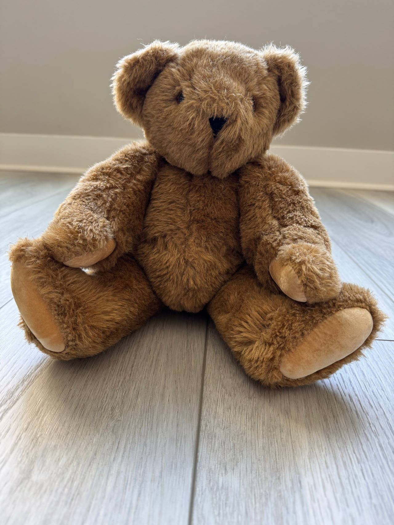 Teddy Bear