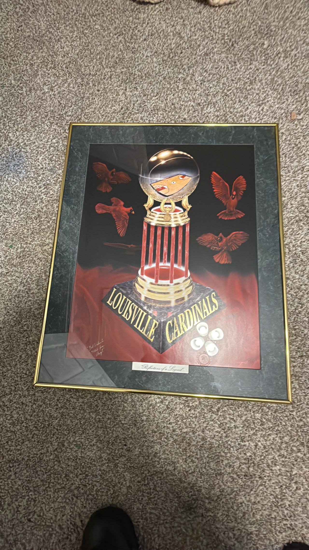 Louisville Cardinals Framed Art Print
