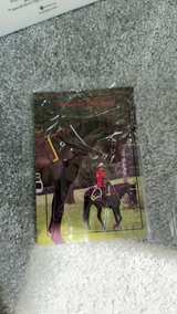 Royal Canadian Mounted Police Trail of Painted Ponies 1013 - Image 3