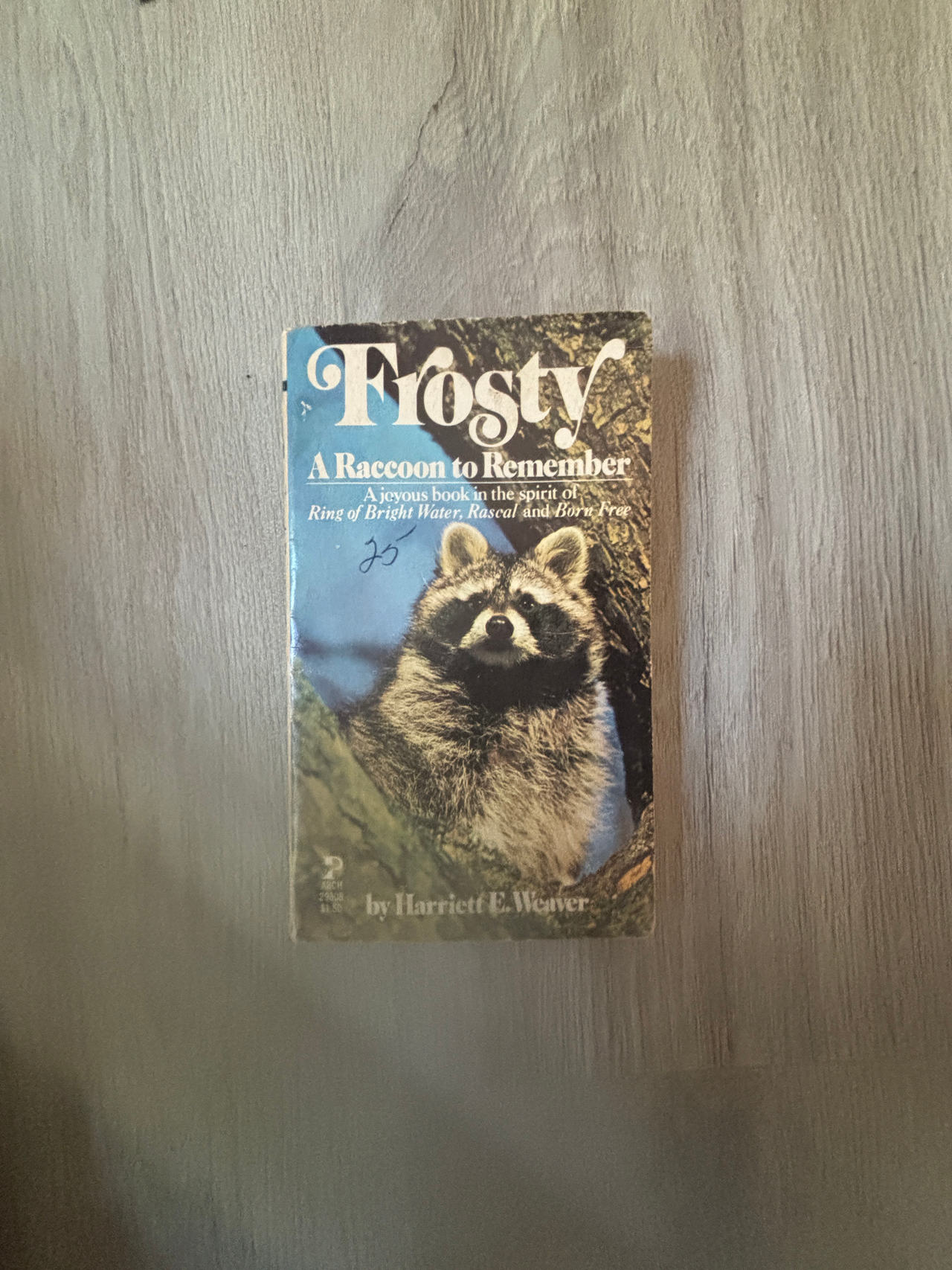 Frosty: A Raccoon to Remember