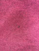 Ralph Lauren Baby Boys Red Sweatshirt toddler 3T - Image 2