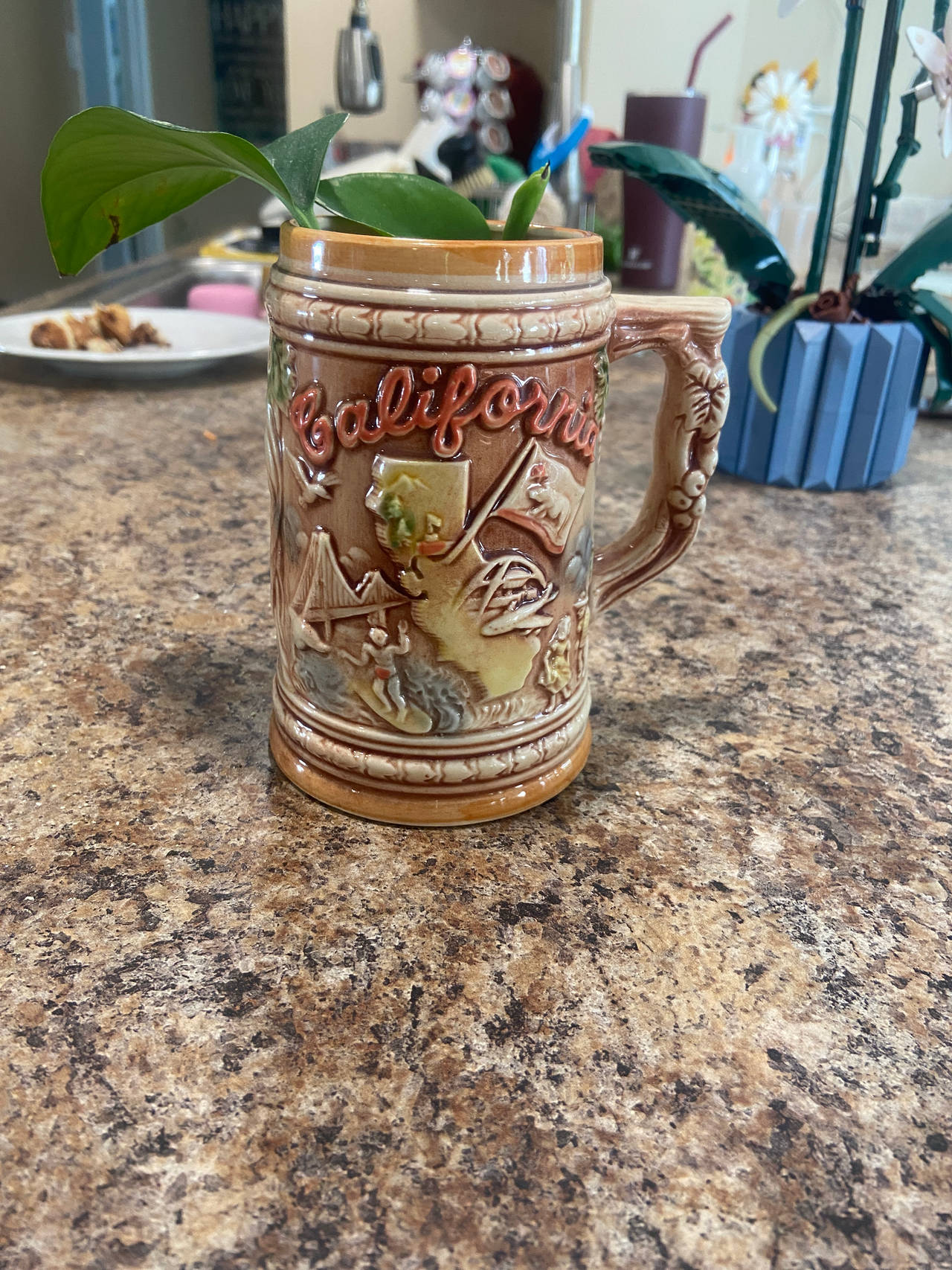 California Souvenir Beer Stein