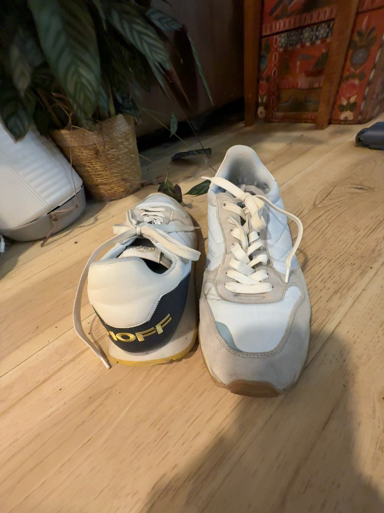 Hoff Men's Sneaker
