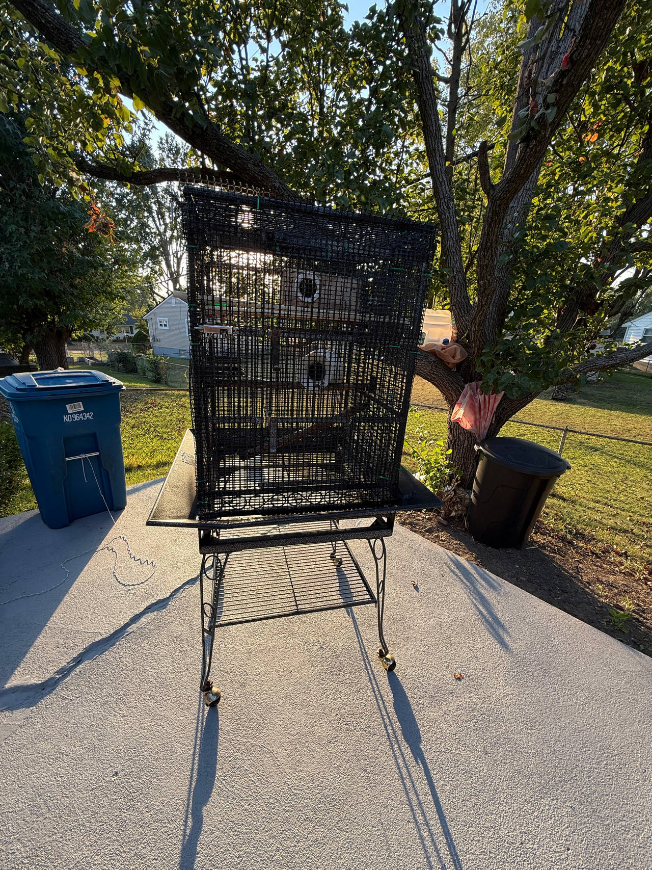 Large Bird Cage
