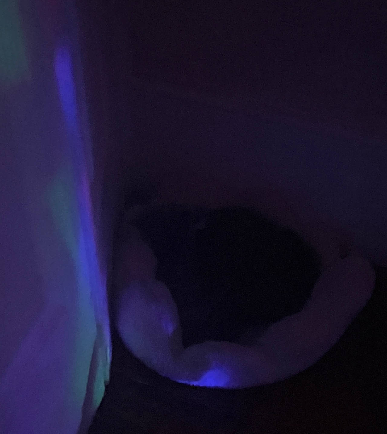 Plush Bolster Pet Bed