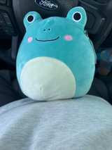 Squishmallows Ludwig the Teal Frog 8-inch Replacement Tag - Image 4