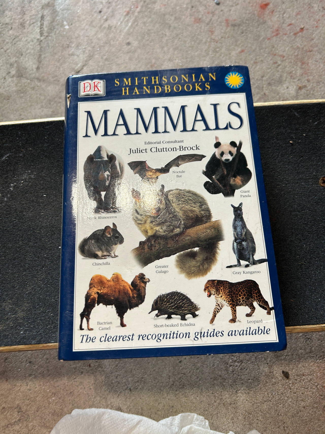 Smithsonian Handbooks: Mammals