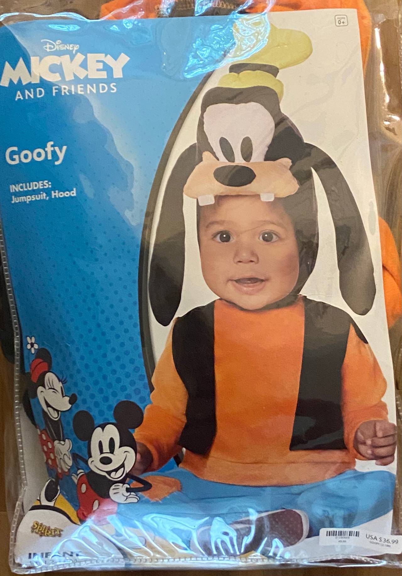 Disney Mickey and Friends Goofy Costume