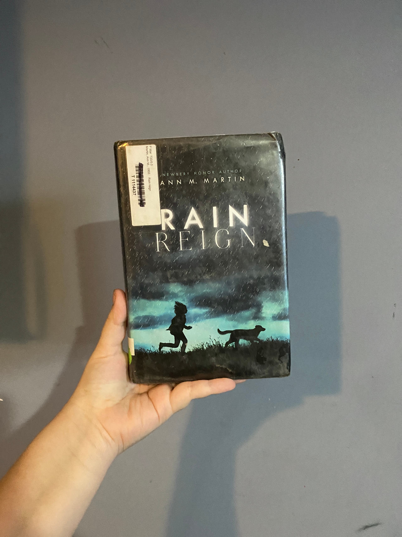 Rain Reign