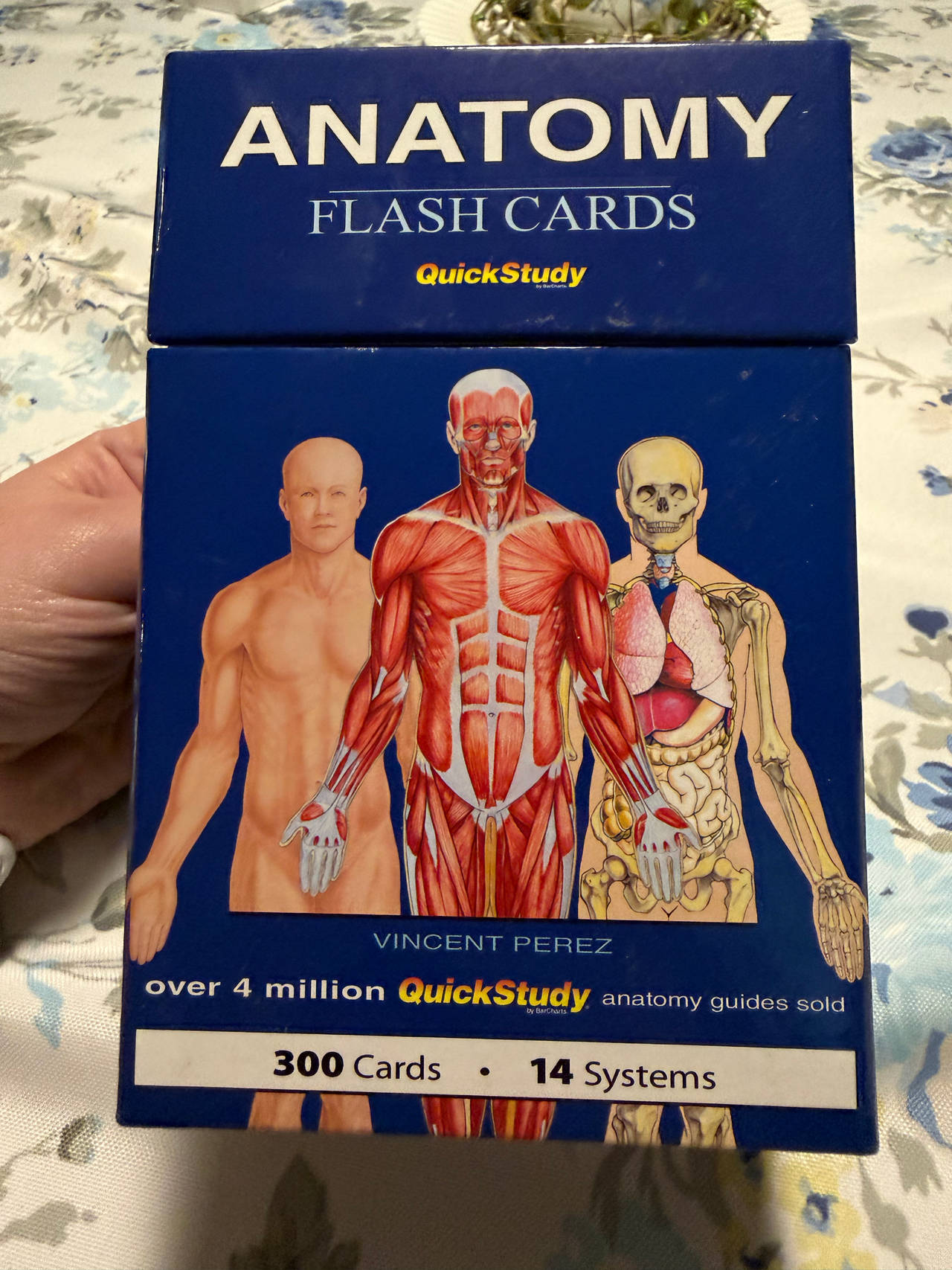 QuickStudy Anatomy Flash Cards by Vincent Perez