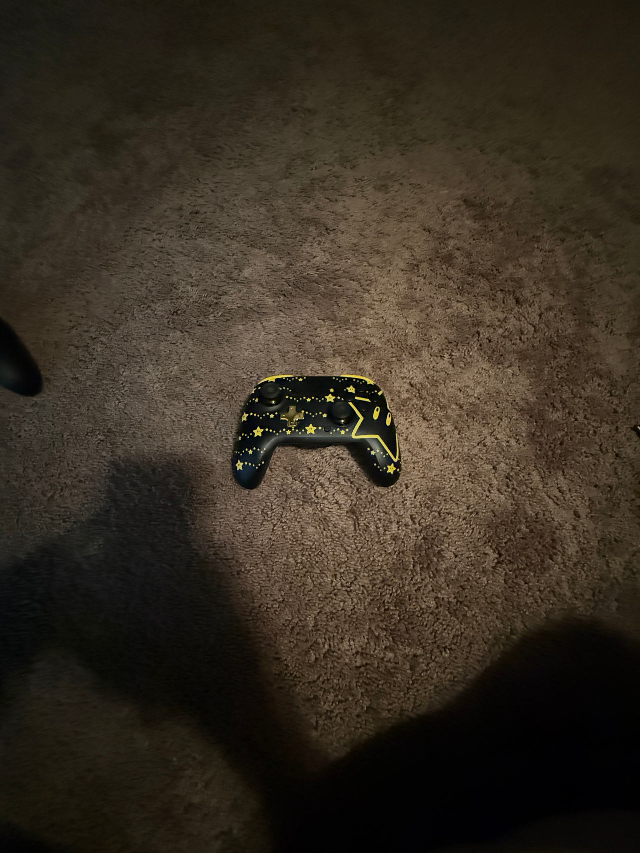 Nintendo switch pro controller