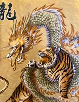 Trust Dragon and Tiger Satin Button Down Shirt - Image 5