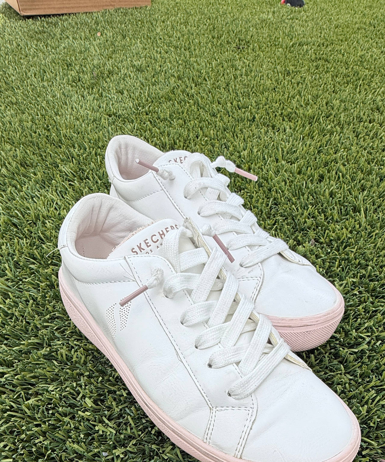 Skechers Street Goldie - Rose and Shine Sneaker