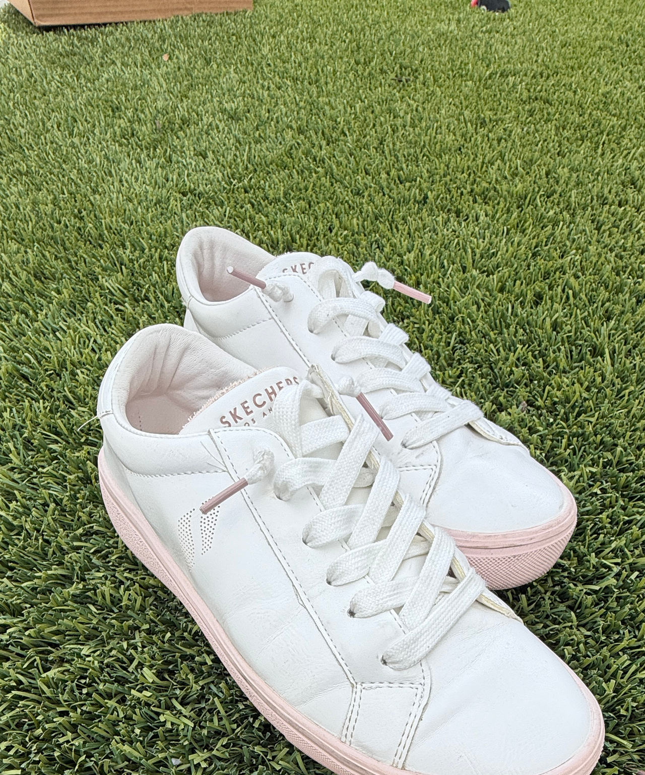 Skechers Street Goldie - Rose and Shine Sneaker